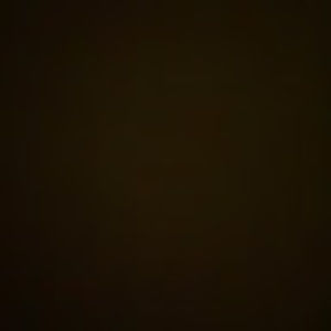 Meet your Posher, Abbie